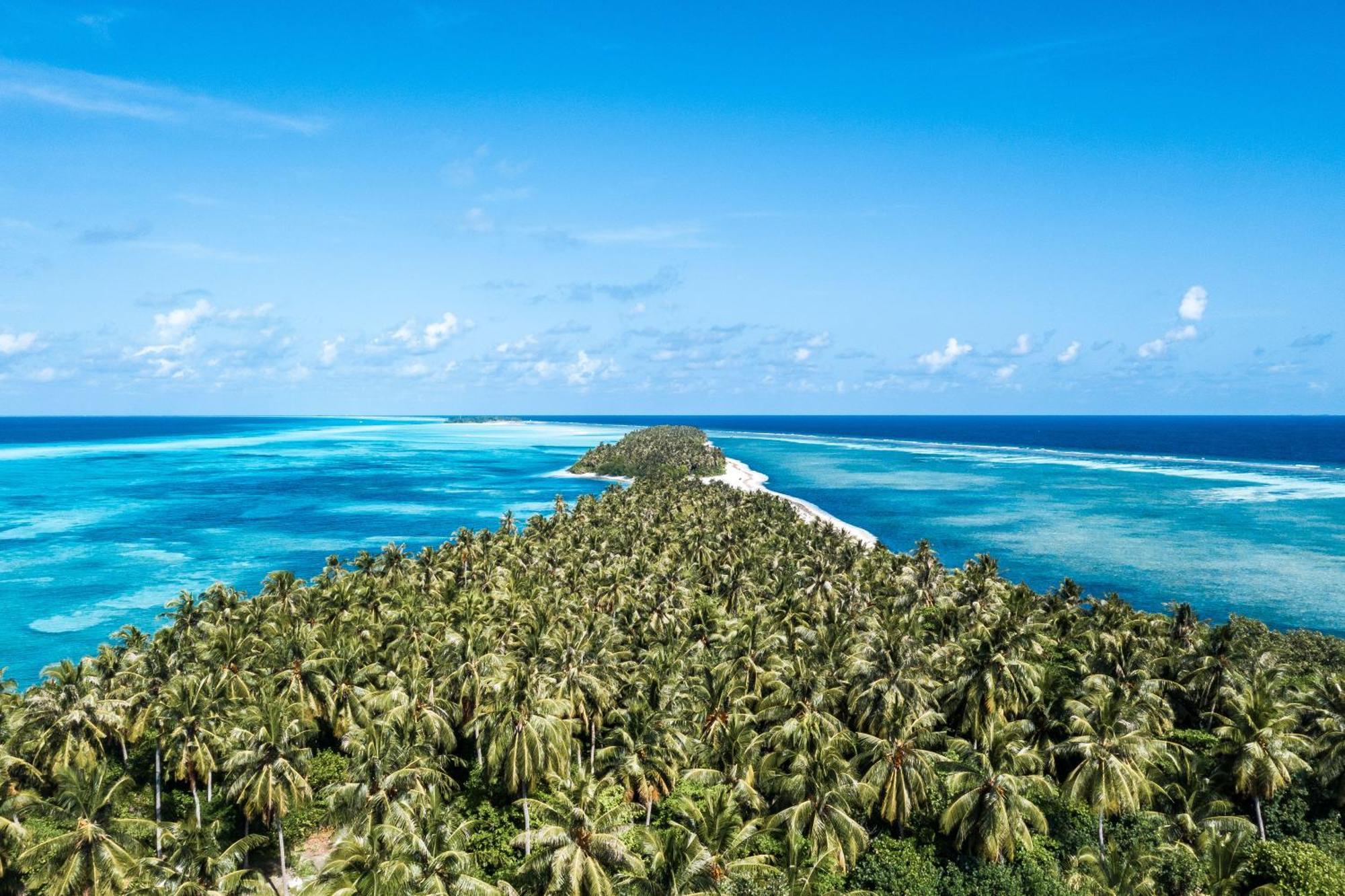 Готель Tropical Tree Fehendhoo Екстер'єр фото